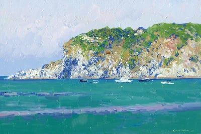 Wiew Of The Cliffs Di Zaro In Ischia by Simon Kozhin art print