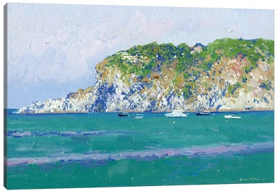 Wiew Of The Cliffs Di Zaro In Ischia Canvas Art Print - Simon Kozhin