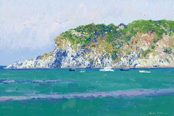 Cliffs: Wiew Of The Cliffs Di Zaro In Ischia by Simon Kozhin