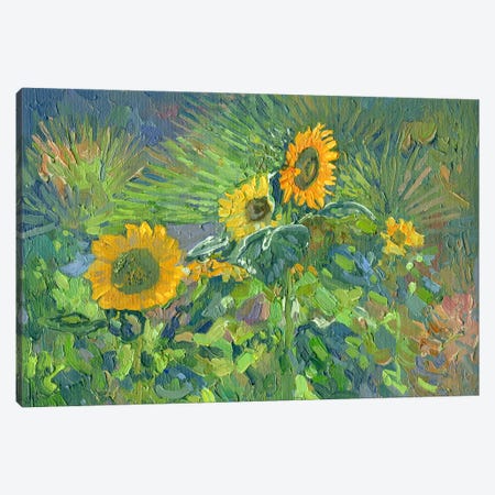 Sunflowers. Turunc Canvas Print #SKZ335} by Simon Kozhin Canvas Art Print