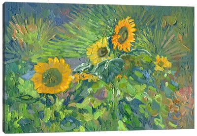 Sunflowers. Turunc Canvas Art Print - Green Art