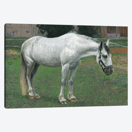 White Horse Canvas Print #SKZ349} by Simon Kozhin Art Print