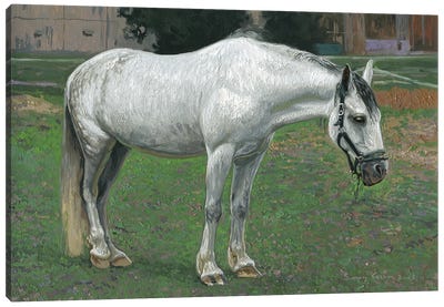 White Horse Canvas Art Print - Green Art