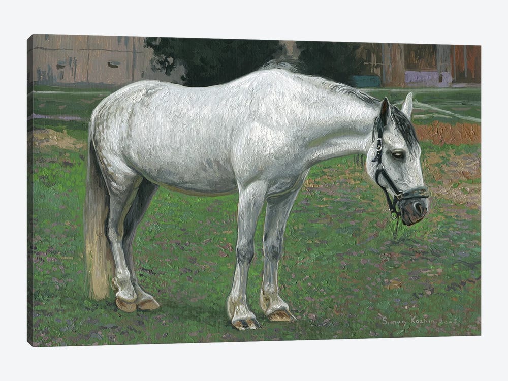 White Horse by Simon Kozhin 1-piece Canvas Art Print