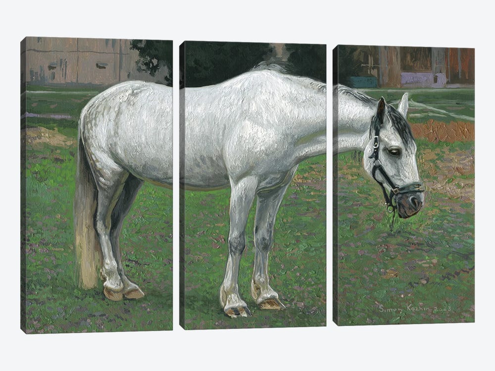 White Horse by Simon Kozhin 3-piece Canvas Print