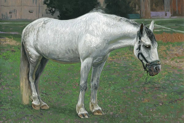 Simon Kozhin: White Horse by Simon Kozhin