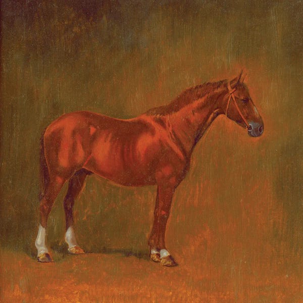 Simon Kozhin: French Trotter by Simon Kozhin