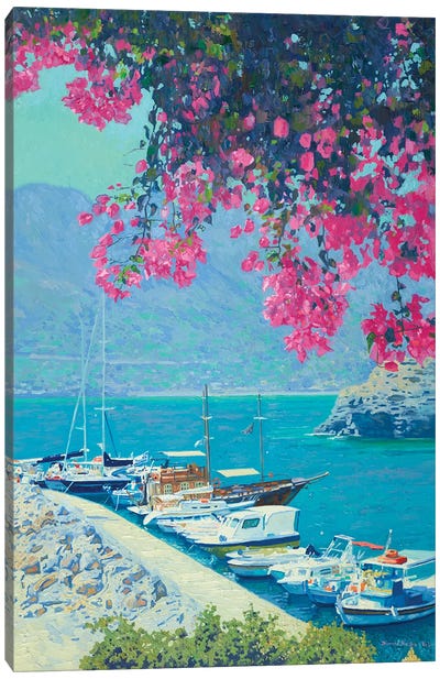 Through The Branches Of Bougainvillea Canvas Art Print - Mediterranean Décor