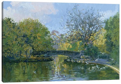 St. Stevens Green Dublin Canvas Art Print - Artists Like Monet