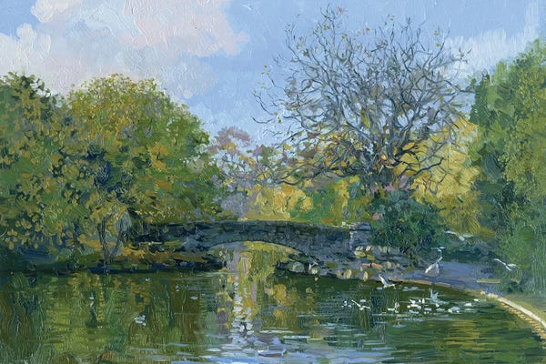Simon Kozhin: St. Stevens Green Dublin by Simon Kozhin