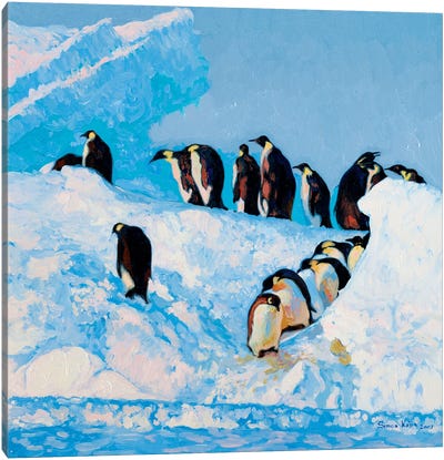 Penguins Canvas Art Print - Simon Kozhin