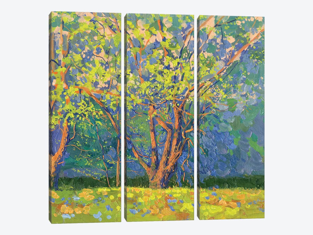 Willows In The Evening Serena River by Simon Kozhin 3-piece Canvas Print