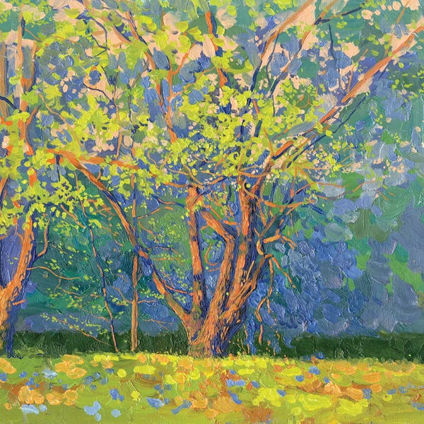 Simon Kozhin: Willows In The Evening Serena River by Simon Kozhin