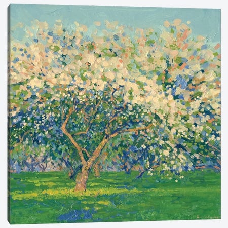 Kolomenskoye Blooming Apple Trees In The Evening Canvas Print #SKZ57} by Simon Kozhin Canvas Artwork