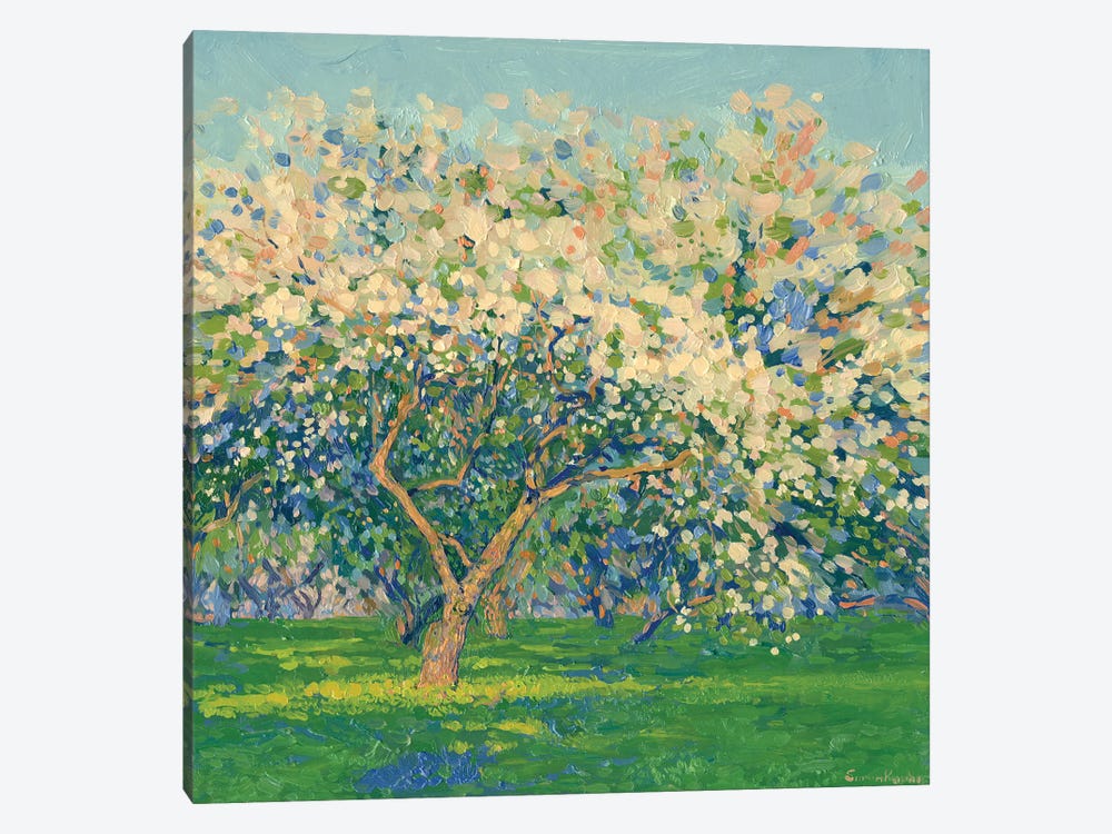 Kolomenskoye Blooming Apple Trees In The Evening by Simon Kozhin 1-piece Canvas Art