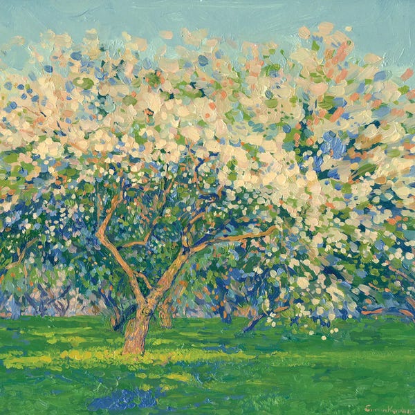 Apple Blossoms: Kolomenskoye Blooming Apple Trees In The Evening by Simon Kozhin