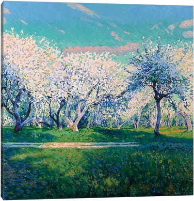 Apple Blossoms Canvas Art Print - Simon Kozhin