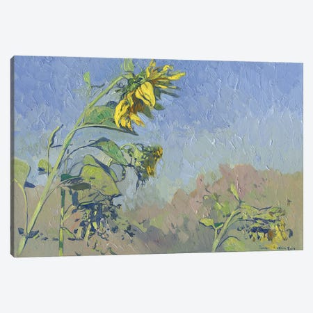 Sunflowers Canvas Print #SKZ59} by Simon Kozhin Art Print