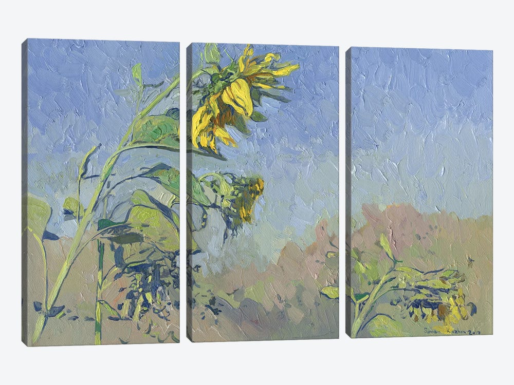 Sunflowers by Simon Kozhin 3-piece Canvas Wall Art