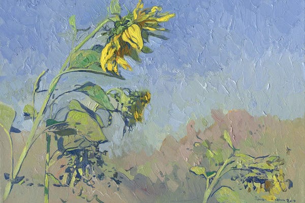Fine Art Print: Sunflowers by Simon Kozhin