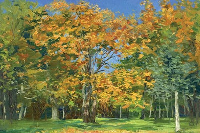 Autumn Leaves by Simon Kozhin canvas print