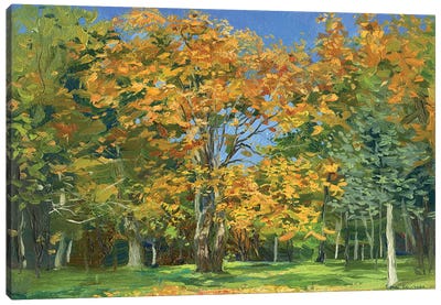 Autumn Leaves Canvas Art Print - Simon Kozhin