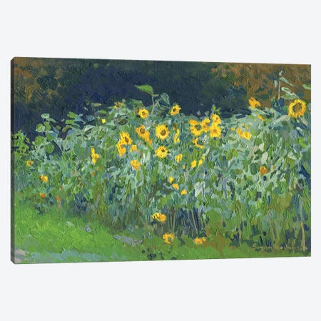 Sunflowers Kolomenskoye Canvas Print #SKZ61} by Simon Kozhin Canvas Art