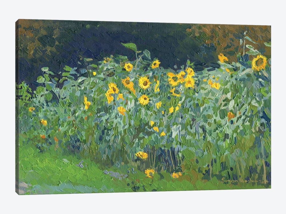 Sunflowers Kolomenskoye by Simon Kozhin 1-piece Art Print