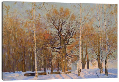 Old Oak Tree In Kolomenskoye Canvas Art Print - Simon Kozhin