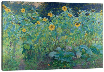 Sunflowers In Kolomenskoye Canvas Art Print - Plein Air Paintings