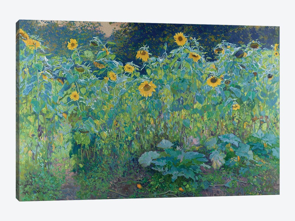 Sunflowers In Kolomenskoye by Simon Kozhin 1-piece Canvas Art Print