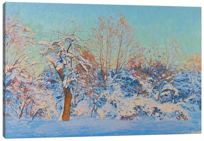 Winter Sun Kolomenskoye Canvas Art Print - Simon Kozhin