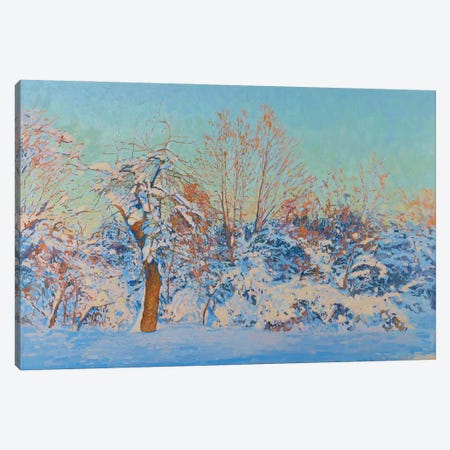 Winter Sun Kolomenskoye Canvas Print #SKZ64} by Simon Kozhin Canvas Print