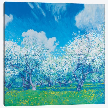 May Blooming Apple Trees Canvas Print #SKZ65} by Simon Kozhin Art Print