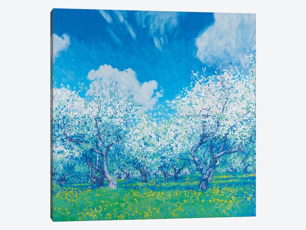 May Blooming Apple Trees by Simon Kozhin 1-piece Art Print