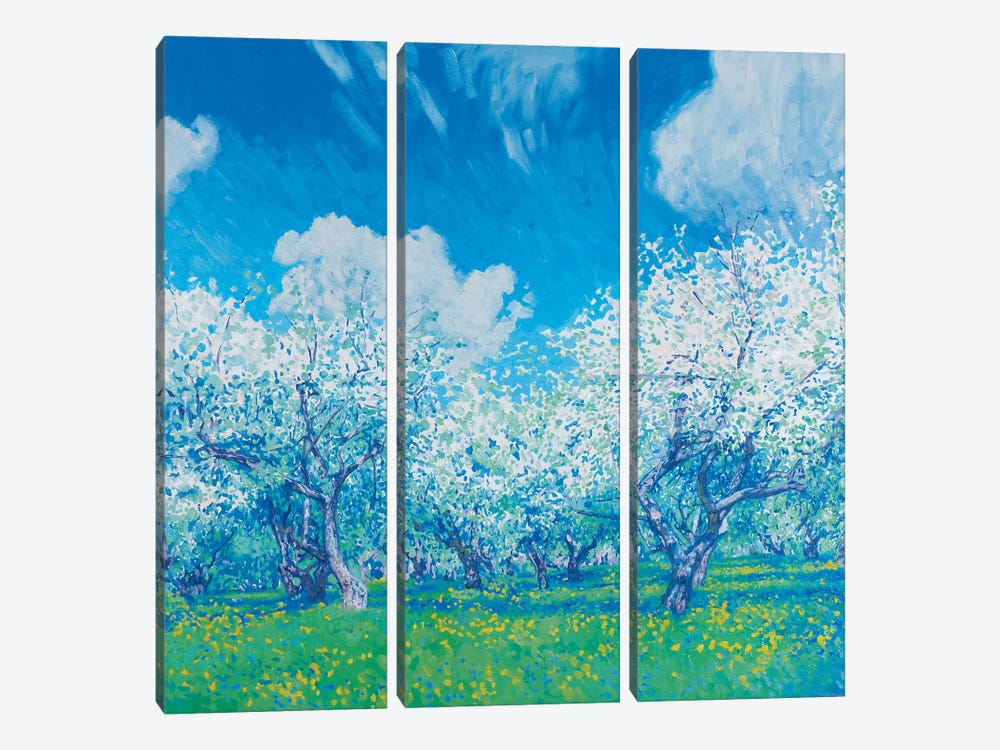 May Blooming Apple Trees by Simon Kozhin 3-piece Art Print