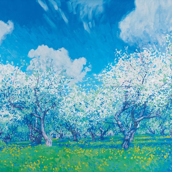 Apple Blossoms: May Blooming Apple Trees by Simon Kozhin