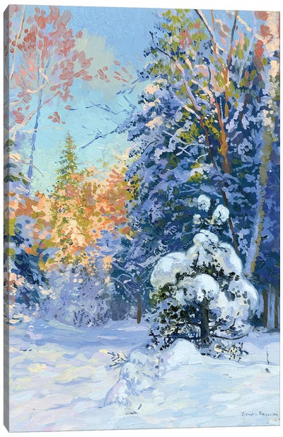 The Snowy Forest Canvas Art Print - Simon Kozhin
