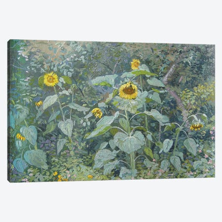 Sunflowers Opalikha Canvas Print #SKZ71} by Simon Kozhin Canvas Print