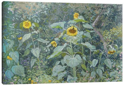 Sunflowers Opalikha Canvas Art Print - Van Gogh's Sunflowers Collection
