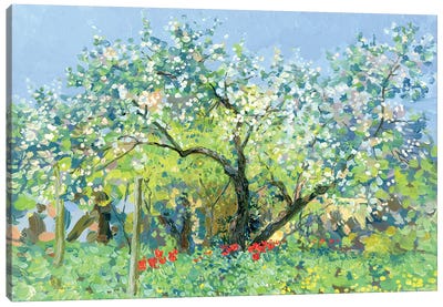 Blooming Garden Canvas Art Print