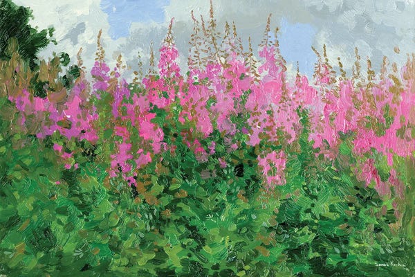 Simon Kozhin: Ivan Tea Flowers by Simon Kozhin