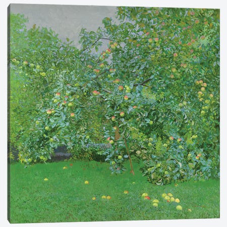 Apples Canvas Print #SKZ76} by Simon Kozhin Canvas Wall Art