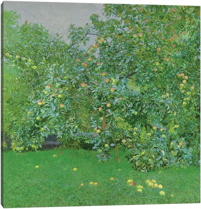 Apples Canvas Art Print - Simon Kozhin