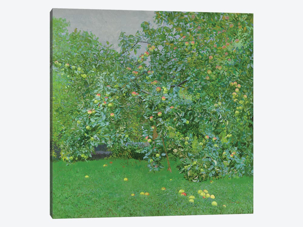 Apples by Simon Kozhin 1-piece Canvas Art Print