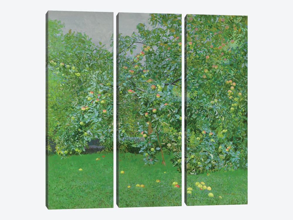 Apples by Simon Kozhin 3-piece Art Print