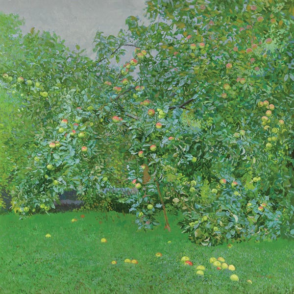 Apple Blossoms: Apples by Simon Kozhin