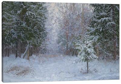 Winter Forest 2008 Canvas Art Print - Simon Kozhin