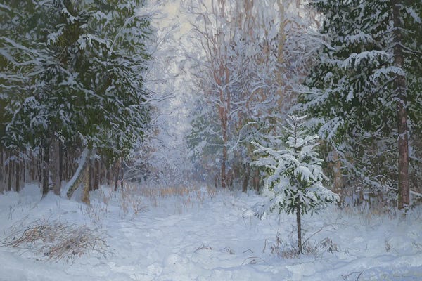Simon Kozhin: Winter Forest 2008 by Simon Kozhin