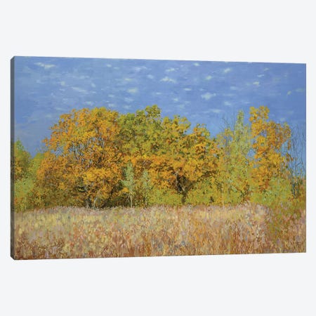 Golden Autumn Canvas Print #SKZ79} by Simon Kozhin Canvas Print